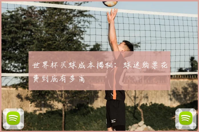 世界杯买球成本揭秘:球迷购票花费到底有多高
