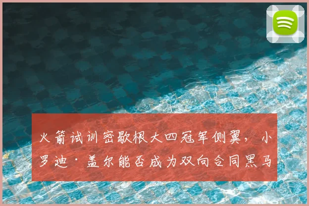 火箭试训密歇根大四冠军侧翼，小罗迪·盖尔能否成为双向合同黑马？_赛季_球员_1