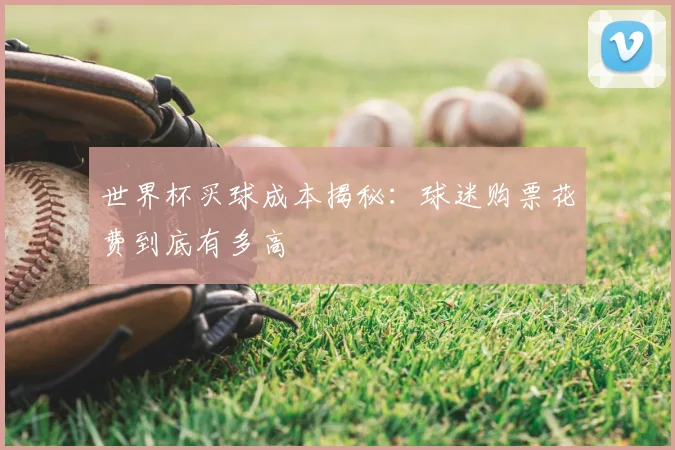 世界杯买球成本揭秘:球迷购票花费到底有多高