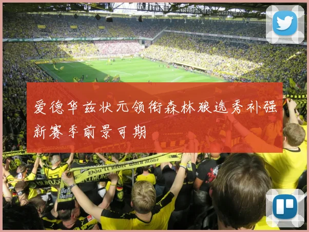 爱德华兹状元领衔森林狼选秀补强新赛季前景可期