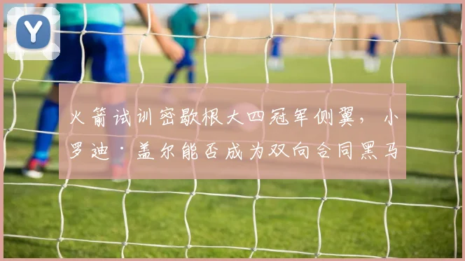 火箭试训密歇根大四冠军侧翼，小罗迪·盖尔能否成为双向合同黑马？_赛季_球员_1