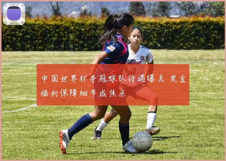 中国世界杯夺冠球队待遇曝光 奖金福利保障细节成焦点