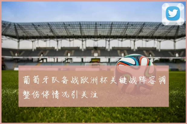 葡萄牙队备战欧洲杯关键战阵容调整伤停情况引关注