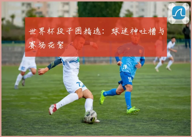 世界杯段子图精选：球迷神吐槽与赛场花絮