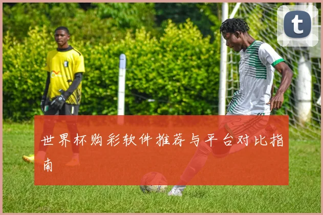 世界杯购彩软件推荐与平台对比指南