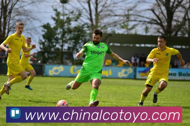 奇异果体育 - 官方网站服务体系